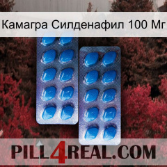 Камагра Силденафил 100 Мг viagra2